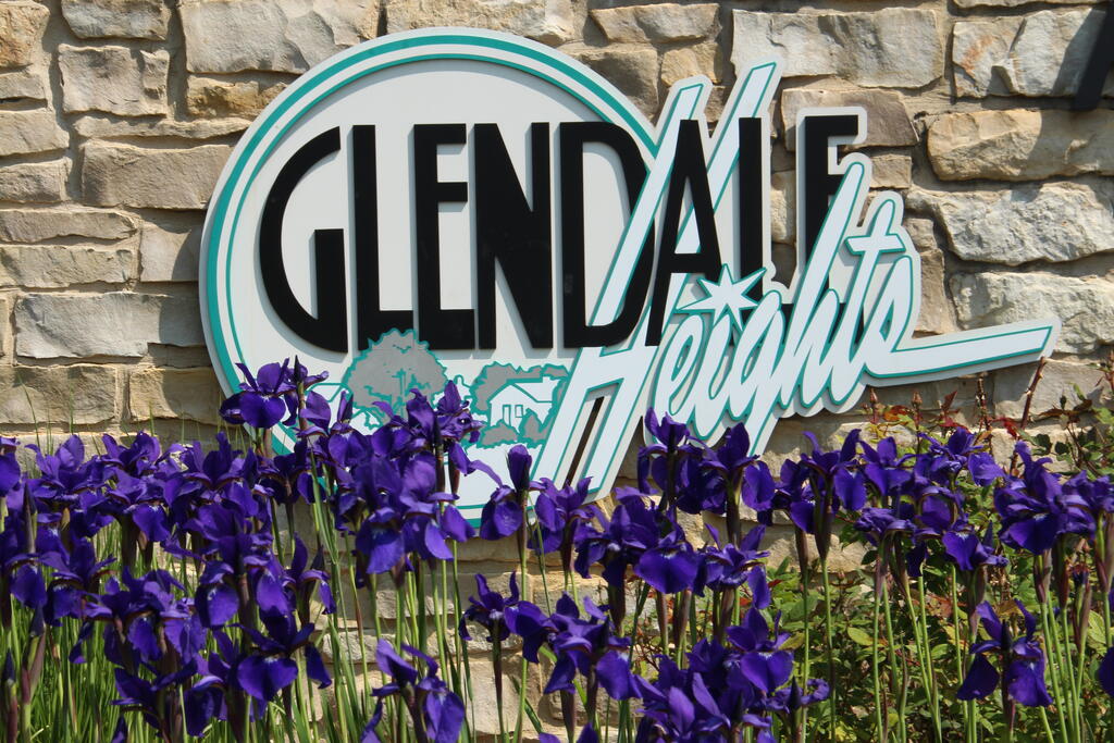 glendale heights - product safety consulting